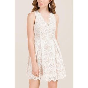 Francesca's Louise Scallop V-Neck Palm Lace A-Line Dress Mini Dress